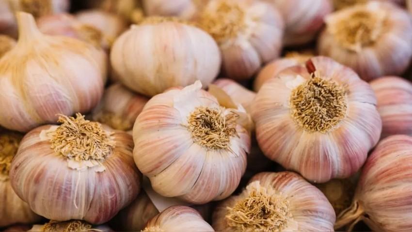 Chinese Garlic