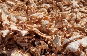 Dehydrated Ginger