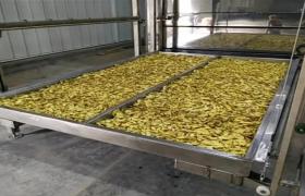 Baked Dried Ginger