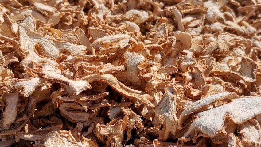 Dehydrated Ginger