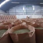 Dehydrated Oregano