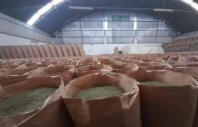 Dehydrated Oregano