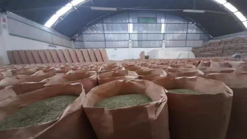 Oregano Seco